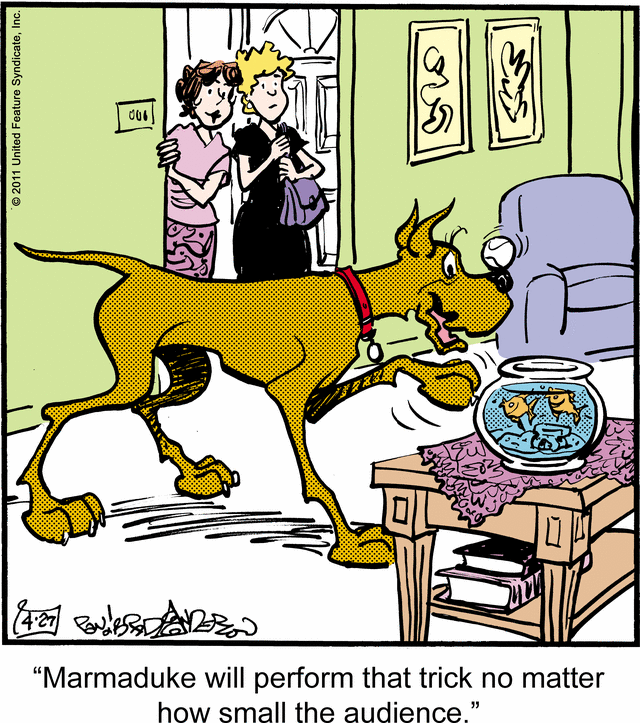 Marmaduke is an Attention Whore.
